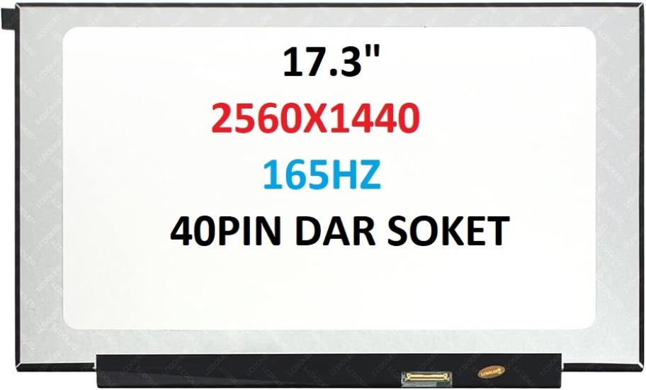 NE173QHM-NY6 40PİN DAR SOKET 2560X1440 165 HZ  IPS VİDASIZ 